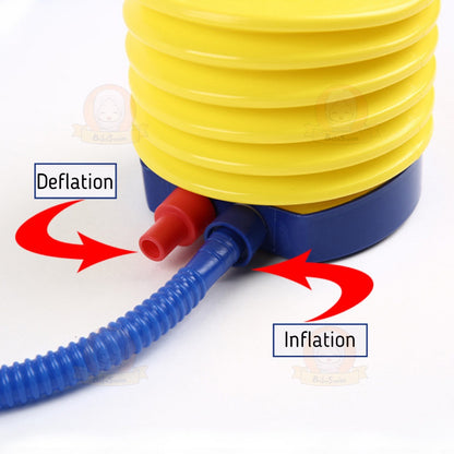 BIBISWIM 2-Way Pool Pump