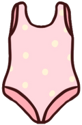 Swimsuit