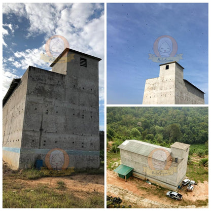 BIBISWIM Pahang Pure Bird Nest 40g